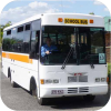 Gatton Bus Service & Minden Bus Service
